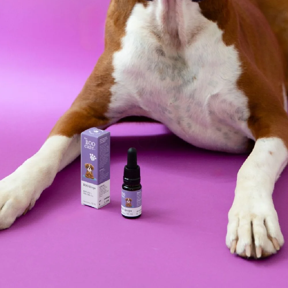 The Boo Care, 10% CBD kapljice za pomiritev (10 ml)